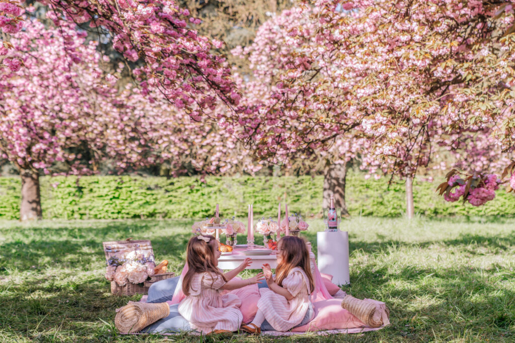 Luxury Paris picnic setup under cherry blossoms at Parc de Sceaux with pink blanket, picnic basket, champagne, and macarons